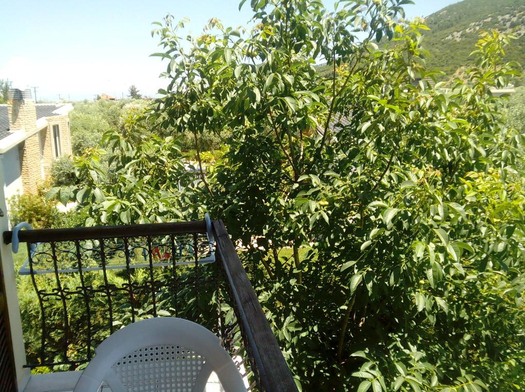 Villa Thomi Skala Rachoni (Thasos) Exterior foto