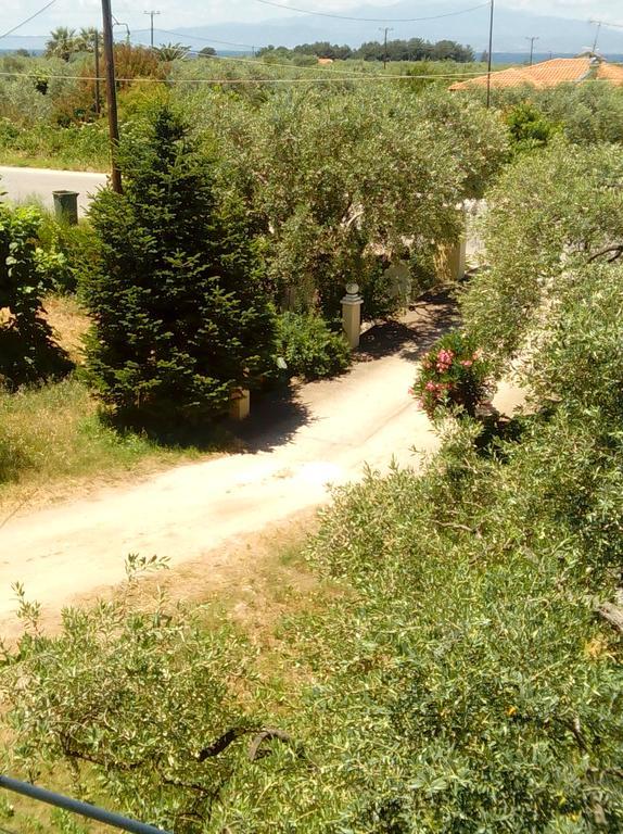Villa Thomi Skala Rachoni (Thasos) Exterior foto