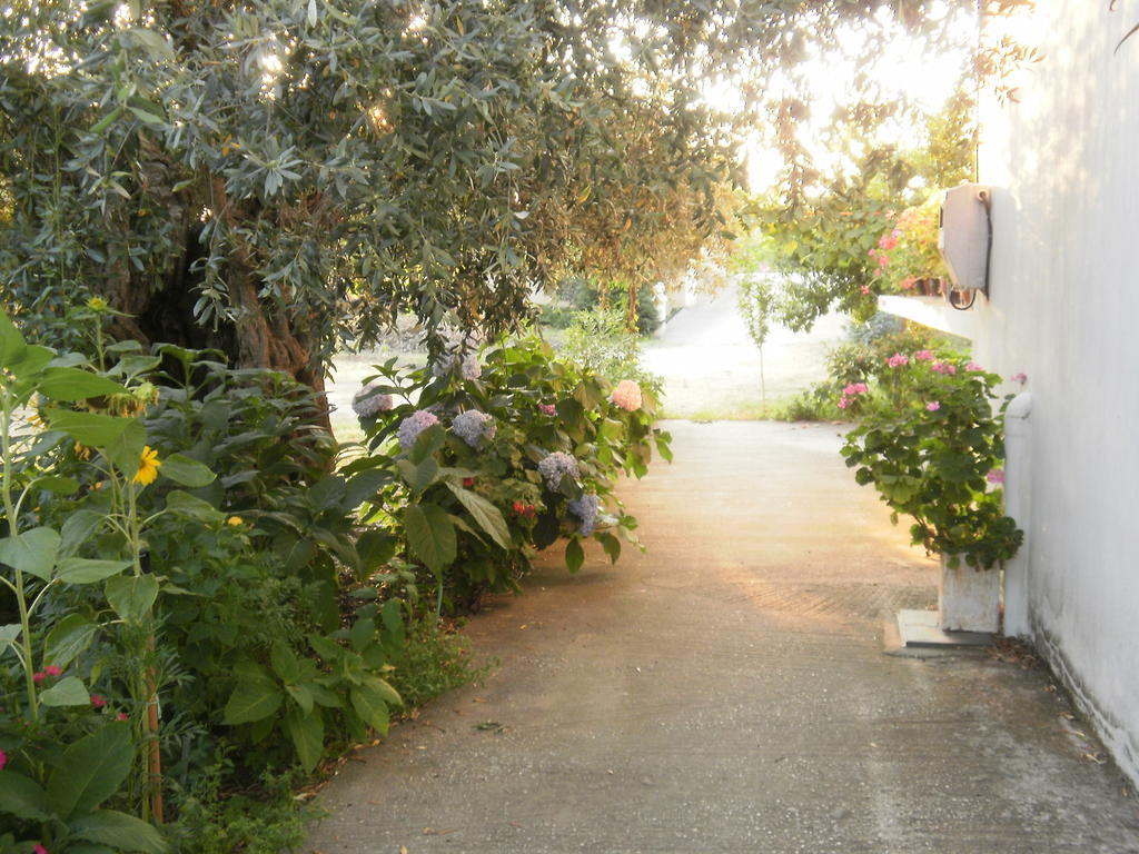 Villa Thomi Skala Rachoni (Thasos) Exterior foto